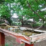 photo 2022-05-02 15-06-14