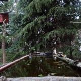 photo 2023-04-03 19-00-09