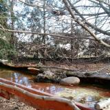 photo 2022-02-17 10-22-16