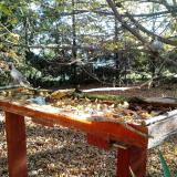 photo 2022-10-20 08-59-52