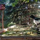 photo 2023-05-09 06-31-14