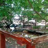 photo 2022-06-01 11-47-41