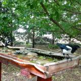 photo 2022-05-23 15-02-20