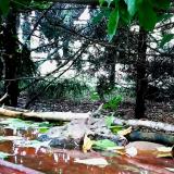 photo 2022-05-16 14-57-21