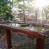 photo 2022-07-28 06-22-34