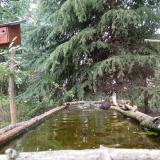 photo 2023-04-10 13-57-11