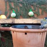 photo 2024-01-02 09-16-55