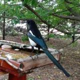 photo 2022-05-29 11-59-04