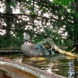 photo 2022-04-29 13-34-18 szajko