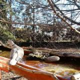 photo 2022-02-20 09-34-36