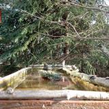 photo 2023-03-13 08-13-11