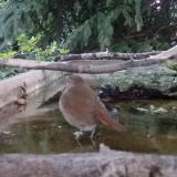 photo 2023-09-03 18-43-21