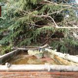 photo 2023-03-13 15-37-23