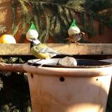 photo 2024-01-10 11-35-22