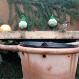 photo 2024-01-06 14-13-51