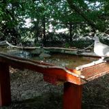 photo 2022-06-29 17-20-46