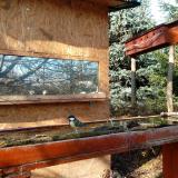 photo 2022-12-01 11-39-29