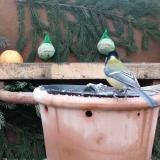 photo 2024-01-08 09-31-42