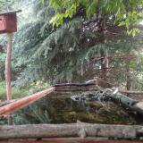 photo 2023-06-27 07-31-54