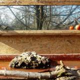 photo 2022-02-05 12-55-38