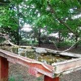 photo 2022-05-02 15-03-18