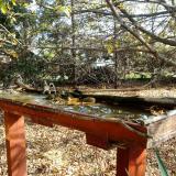 photo 2022-10-22 10-43-30