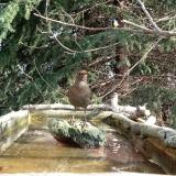 photo 2023-03-13 08-55-24