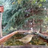 photo 2023-09-25 09-39-22