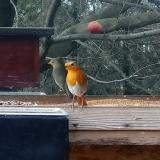 photo 2023-01-11 12-45-07