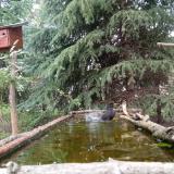 photo 2023-04-10 13-58-37