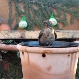 photo 2024-01-26 08-42-41