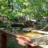 photo 2022-04-21 16-34-26