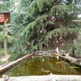 photo 2023-04-09 13-16-04