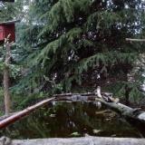 photo 2023-04-03 18-59-18