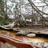 photo 2022-02-21 09-56-34