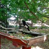 photo 2022-05-23 11-03-04