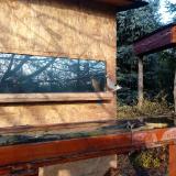 photo 2022-11-19 08-56-13