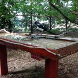 photo 2022-06-24 20-10-24