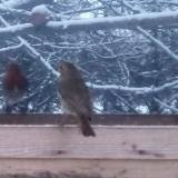 photo 2022-12-12 07-14-17