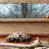 photo 2022-02-14 13-15-39