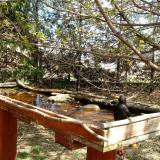 photo 2022-04-06 12-36-14