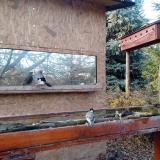 photo 2022-11-28 14-49-35