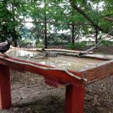 photo 2022-06-24 19-41-06