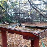 photo 2022-10-23 07-57-47