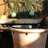 photo 2024-01-11 13-15-21