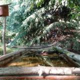 photo 2023-08-31 16-02-33