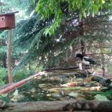 photo 2023-05-23 09-34-46