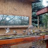 photo 2022-11-28 12-33-07