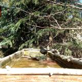 photo 2023-03-13 11-52-30