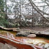 photo 2022-02-23 09-17-29